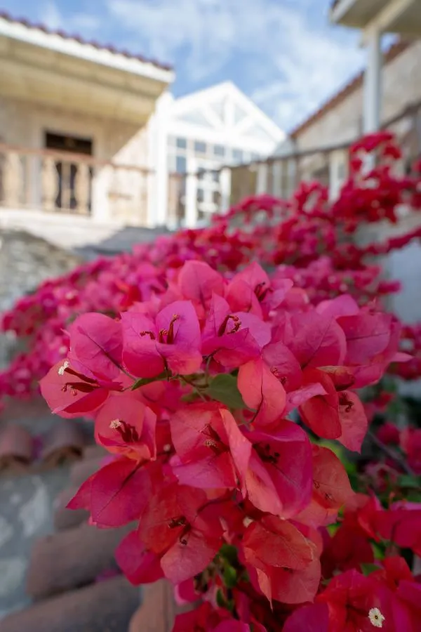 Nobela Hotel Alacati Turquia