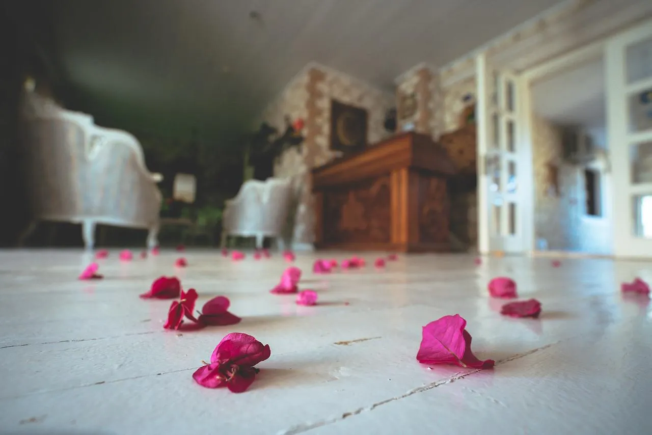 **  Nobela Hotel Alacati Turquia